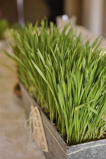 Easter-Dinner-Table-Decor_0003
