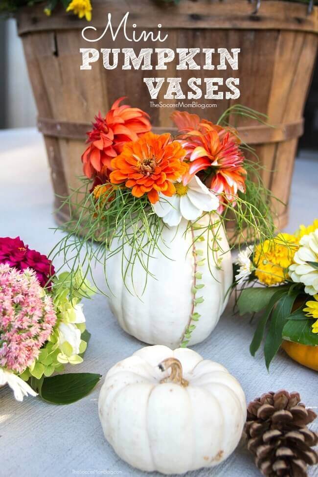 Mini-Pumpkin-Vases-Pin